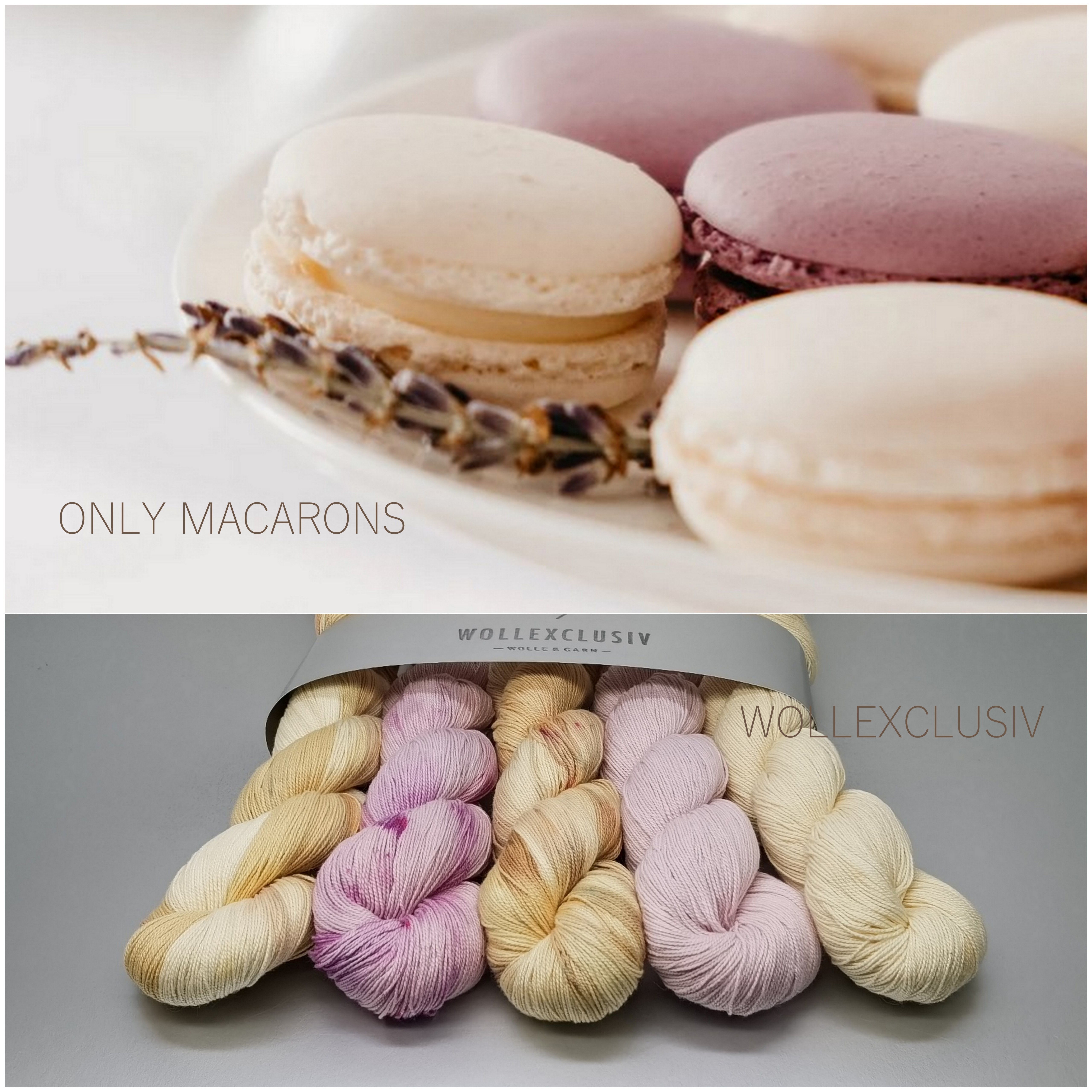 KIT COTTON LACE ∣ ONLY MACARONS